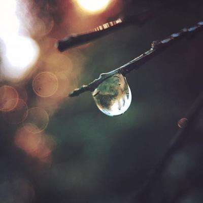 半岛综合体育截图